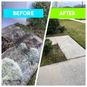 Split Walkway Wash